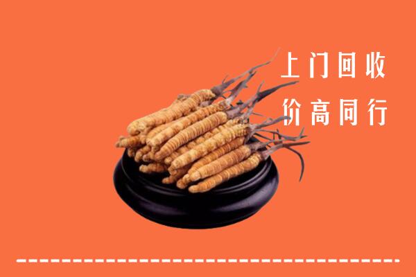 附近收购：镇沅县冬虫夏草回收多少钱每克